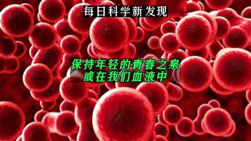 年轻的血液,揭秘生命活力的源泉