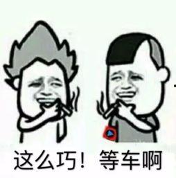 亲,别怕,在挑战中绽放自信与勇气