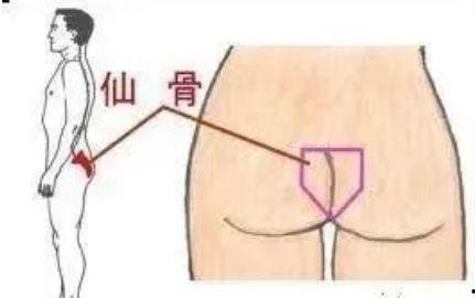 折仙骨,探寻神秘仙骨的传奇之旅