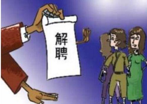 我不解雇自己,探索终身职业的奥秘