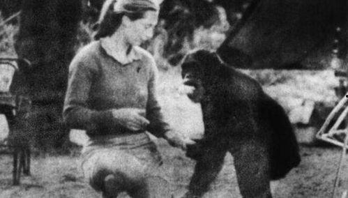 唐纳德哭了,情感瞬间引发热议