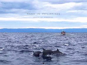 蓝色的时光,探寻记忆深处的色彩之旅