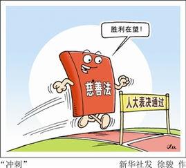 不能触犯的条规,不可触犯的法律法规概览