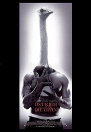 怪趣群鸟,大自然的奇幻交响曲