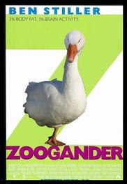 怪趣群鸟,大自然的奇幻交响曲