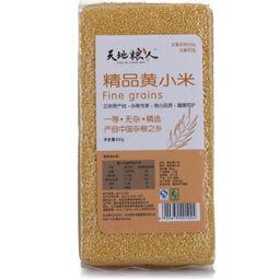 天地粮人,探寻粮食与生命的和谐共生之道