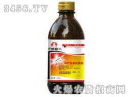 天地粮人,探寻粮食与生命的和谐共生之道